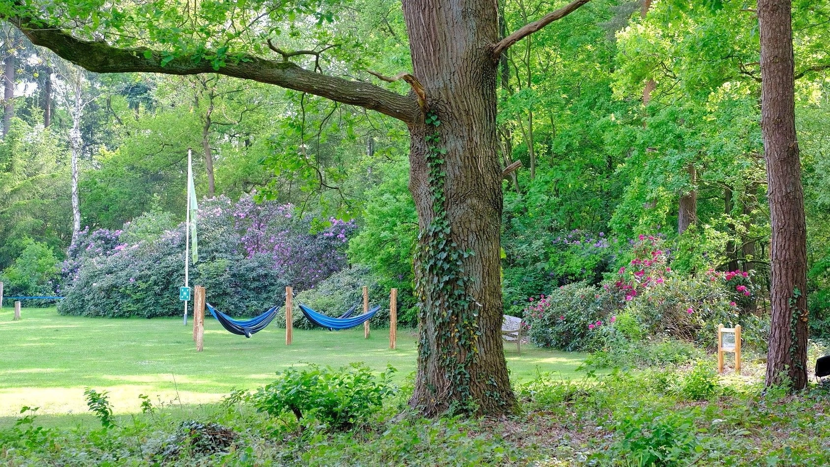 4-daags Hemelvaart arrangement 