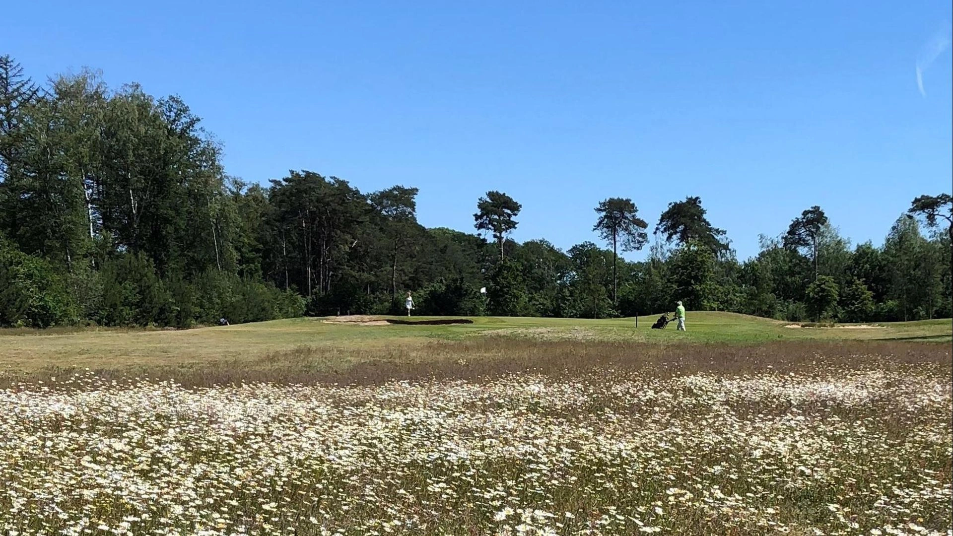 3-daags Golf vrienden arrangement