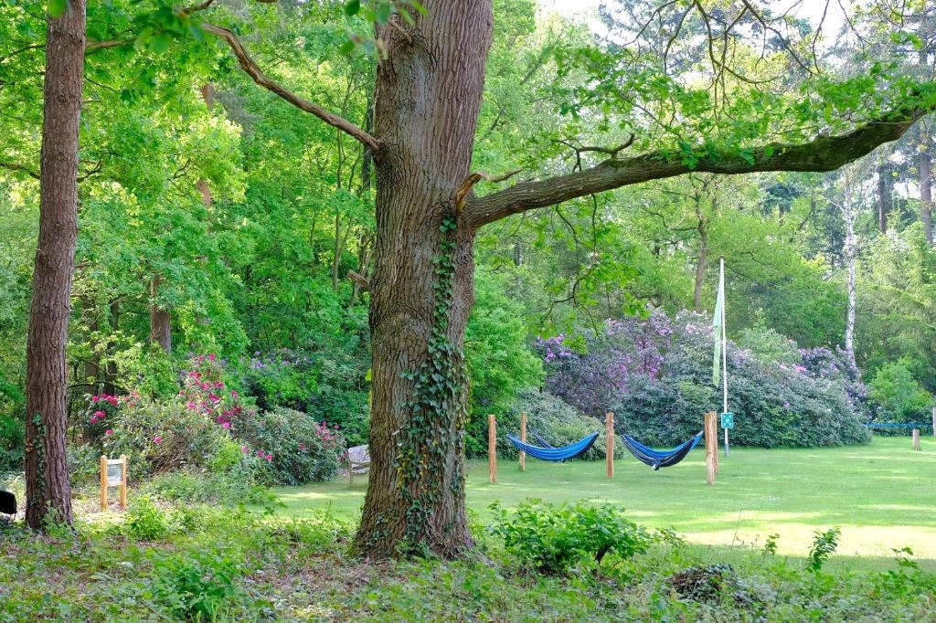 4-daags Pinksterarrangement 